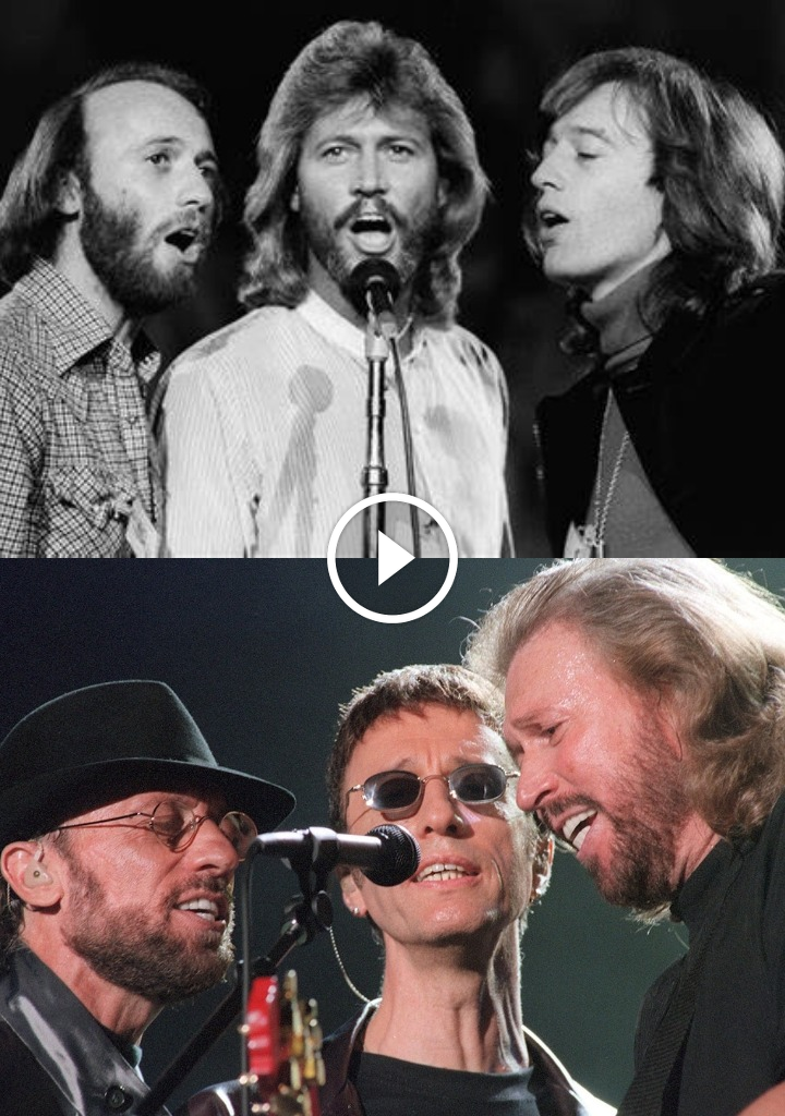 Bee Gees – Warm Ride