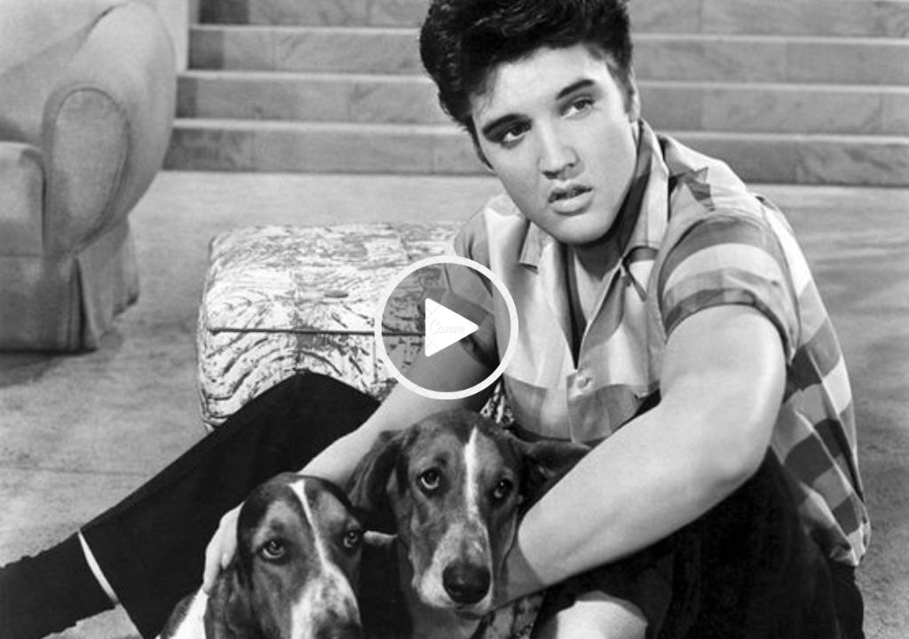 The Howlin’ Hit: Elvis Presley’s ‘Hound Dog’