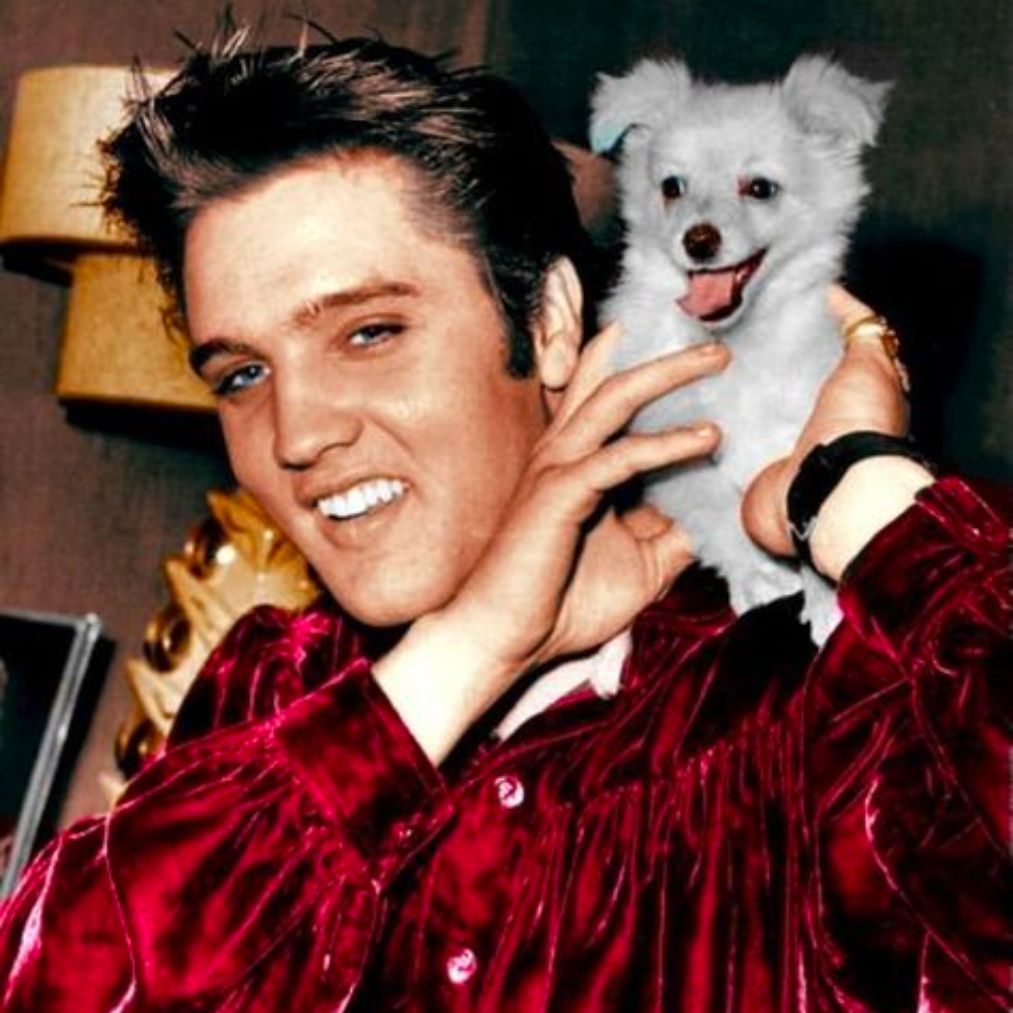 I Will Be Home Again – Elvis Presley – 1960