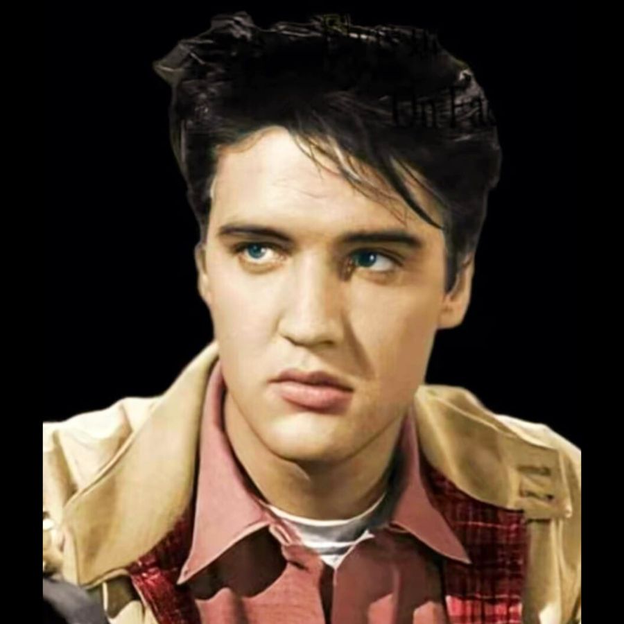 The Thrill Of Your Love The Thrill Of Your Love