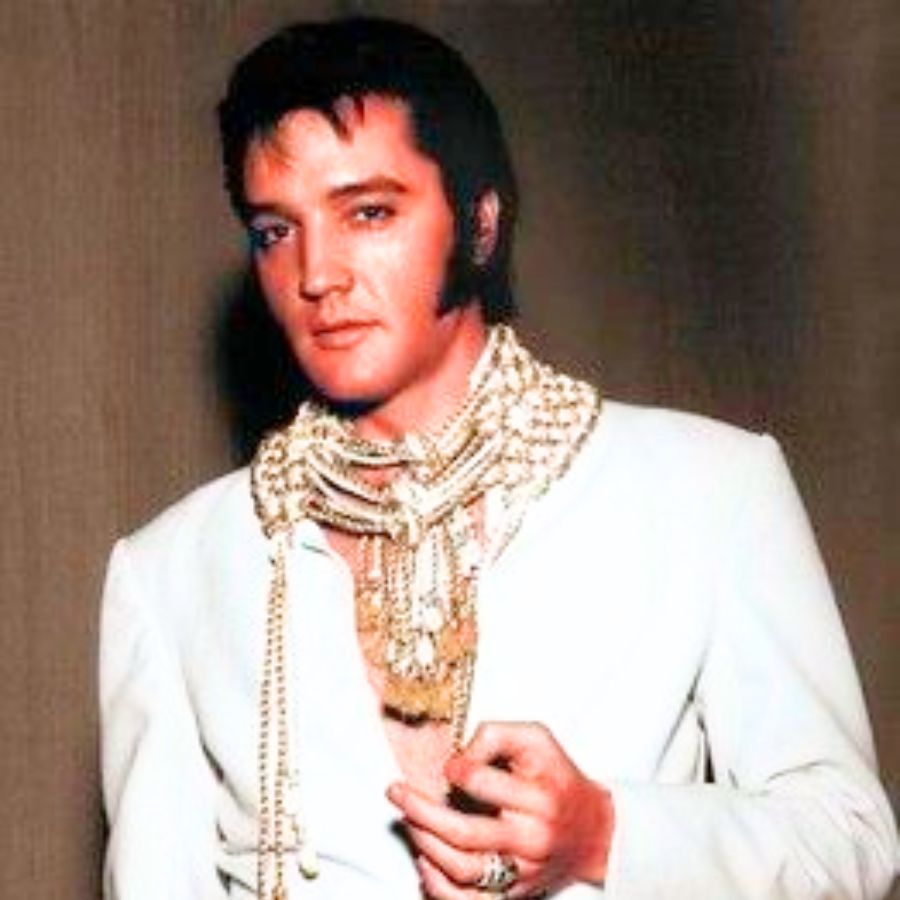 Elvis Presley – Polk Salad Annie
