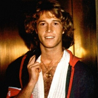 Andy Gibb seemed to have it all—beauty, talent, youth, and fame. But he tragically died at the age of 30. Do you remember him?