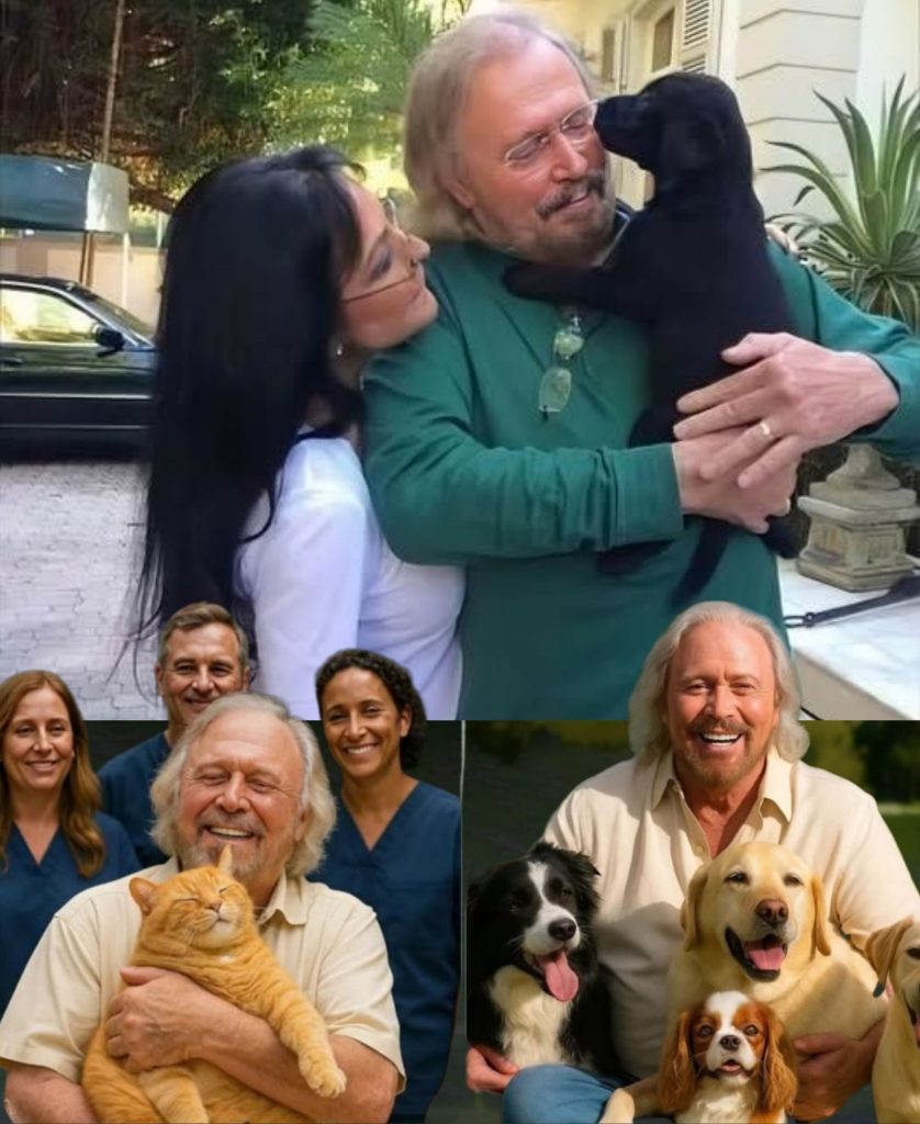 BREAKING NEWS: Barry Gibb Has Just Set the Internet Ablaze With a Stunning £10 Million Commitment to Create a Luxurious “Paradise” for Stray Dogs and Cats — Featuring Sunlit Gardens, Charming Villas, and Round-the-Clock Care. The Music Icon Pledges to Rescue Thousands of Abandoned Animals, Vowing They Will Finally Experience Love, Safety, and a Forever Home… And the Deeply Personal Story Driving His Mission Will Shatter Your Heart! WATCH FULL BELOW