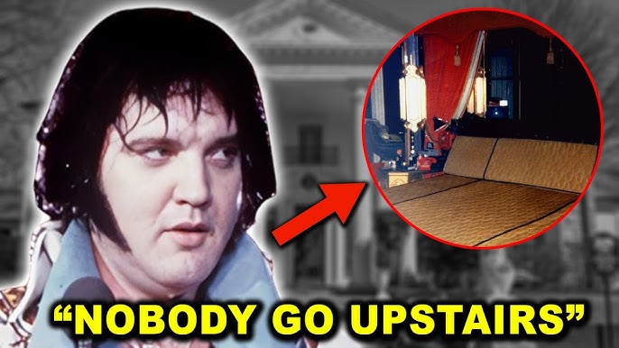 Elvis Presley’s Secret Basement Unsealed After 48 Years – What They Found Left Everyone Speechless