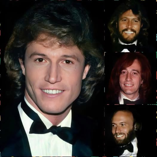 When Andy Gibb passed away in 1988 at just 30 years old, his brothers Barry, Robin, and Maurice were left shattered.