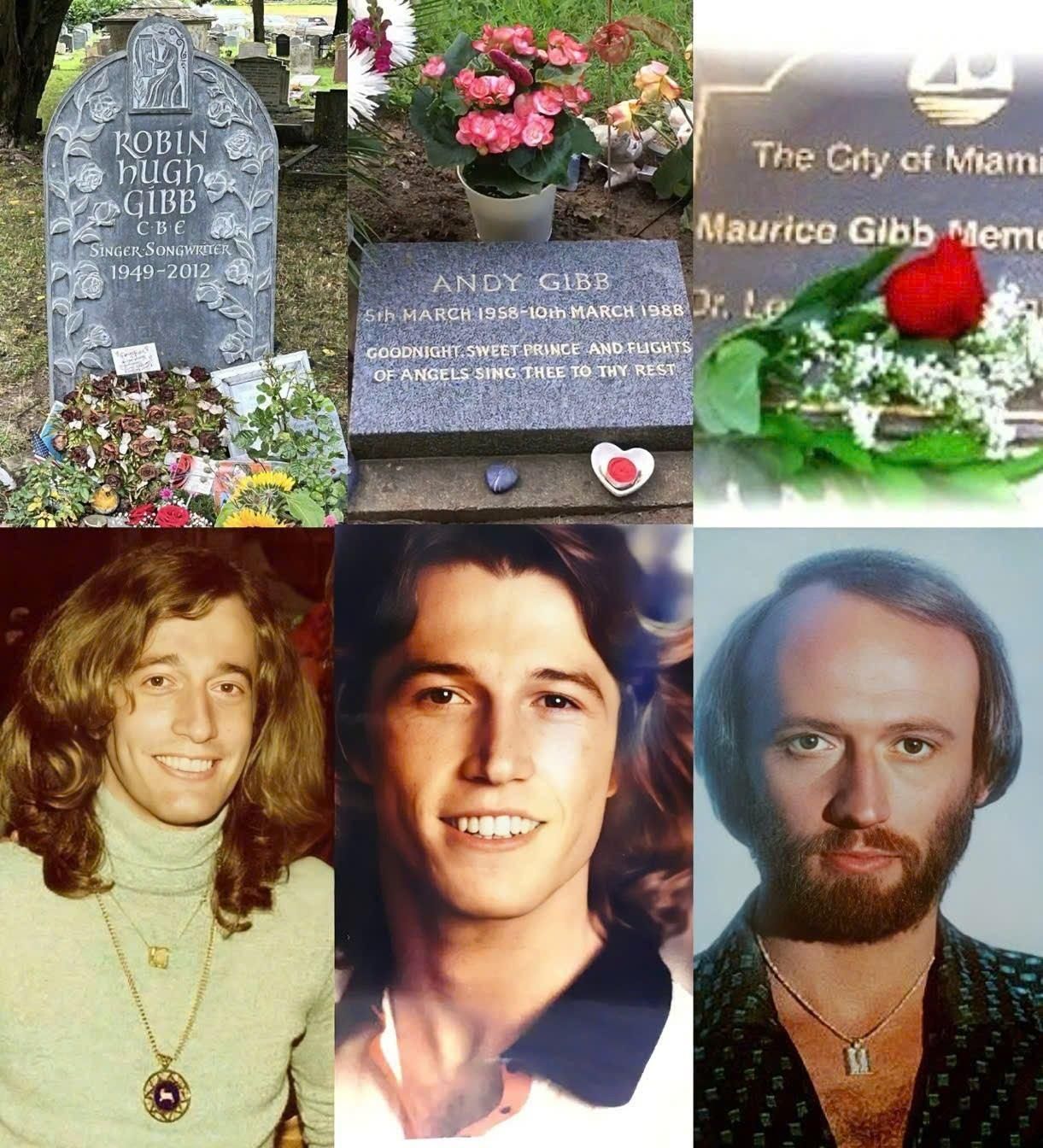 Three brothers. Three resting places. One eternal legacy. Fans around the world still ask where the Bee Gees are laid to rest—because their voices never truly left us. From Robin to Maurice to Andy, each grave holds a chapter of music history.