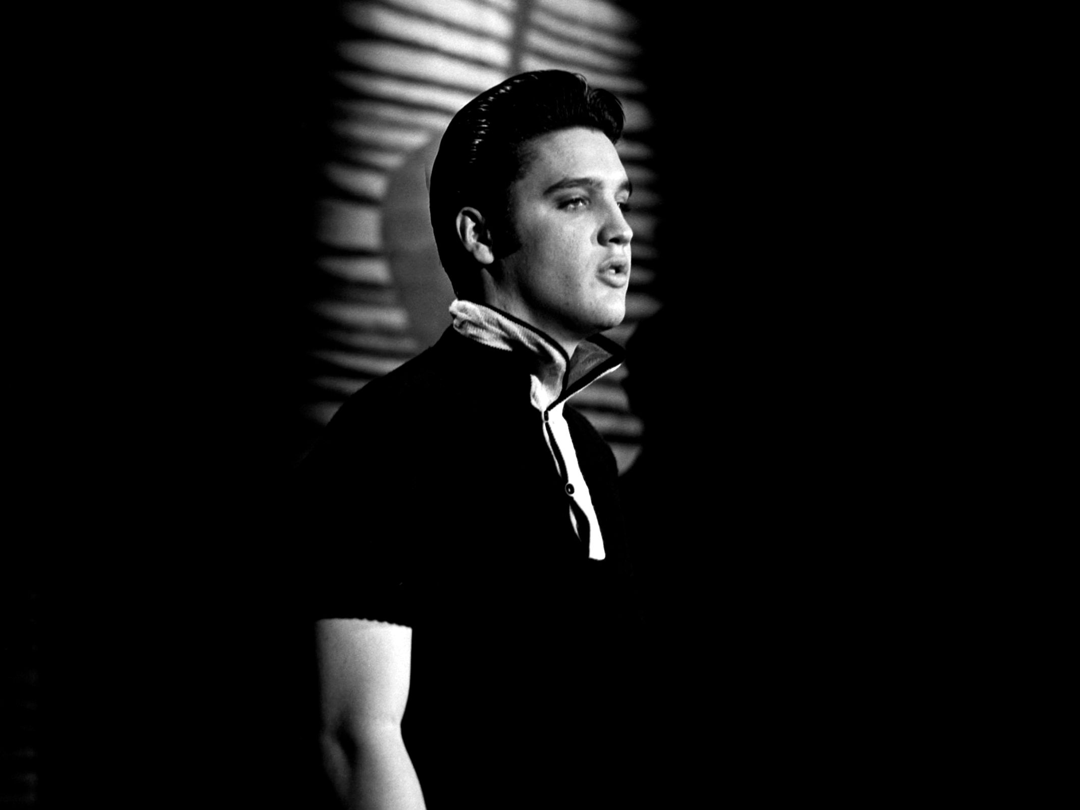 Going to Graceland | The New Yorker