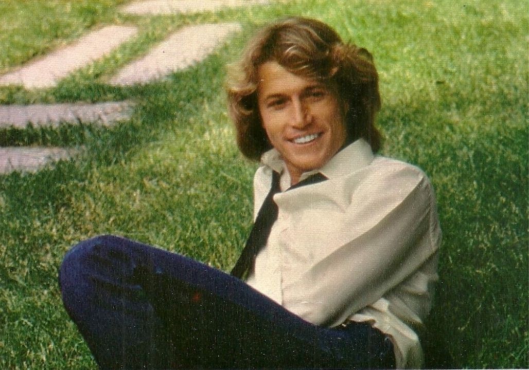 THE RISE AND TRAGIC FALL OF ANDY GIBB: THE FIFTH GIBB BROTHER WHO SHINED TOO BRIGHT