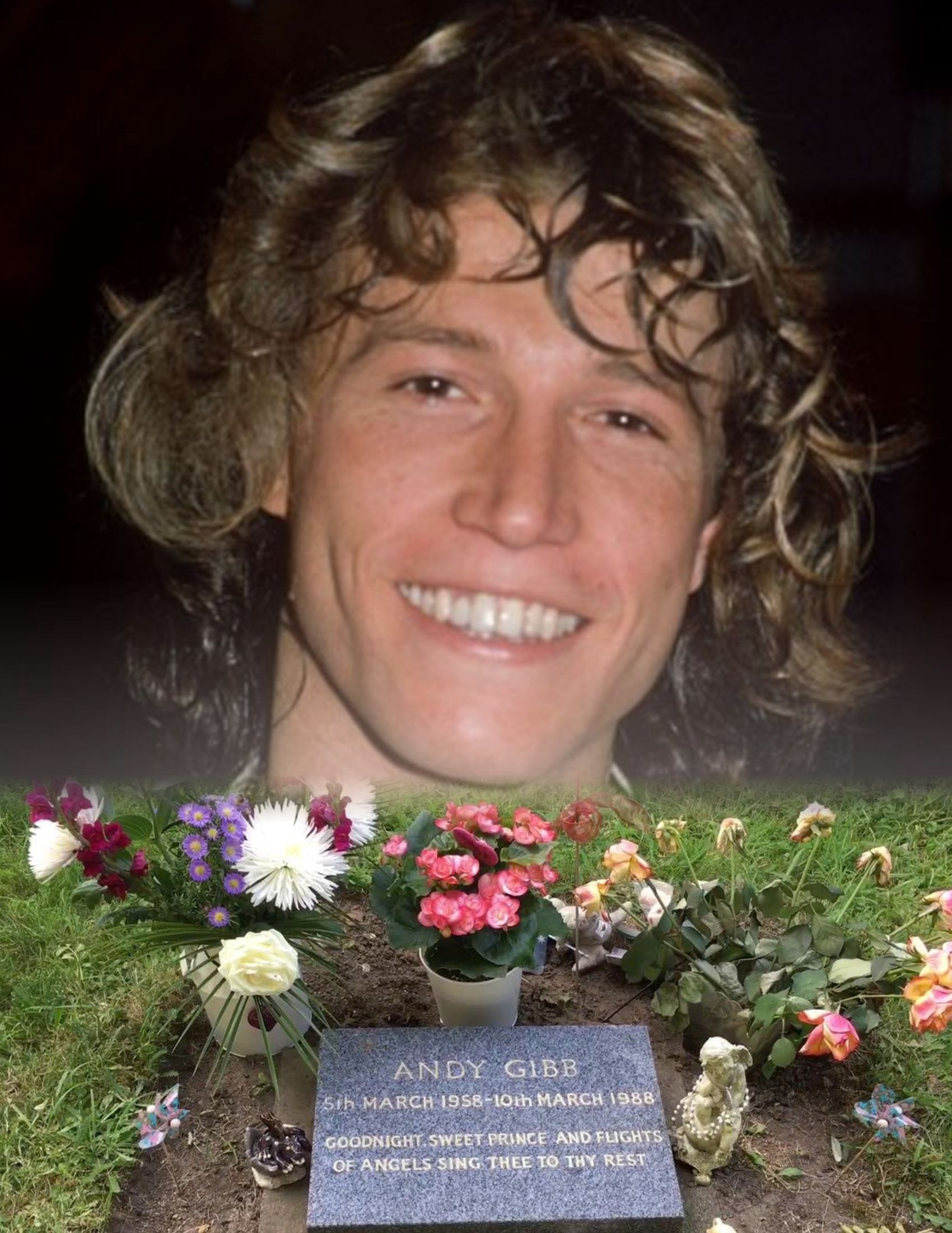 What Really Happened to Andy Gibb? The Death and Grave of The Bee Gees Younger Brother