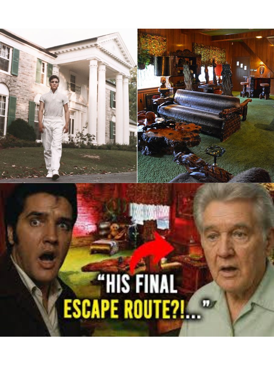 “Elvis Presley’s Secret Tunnel Beneath Graceland Finally Found — And What Was Inside Will Shock You”