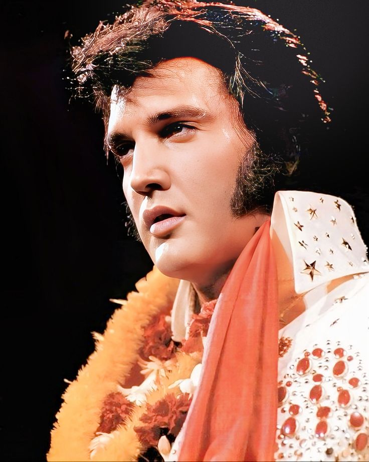 Hình ảnh Ghim câu chuyện