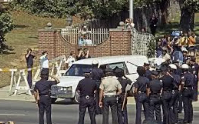 Eleven White Cadillacs and a City Holding Its Breath: Elvis Presley’s Final Ride Through Memphis