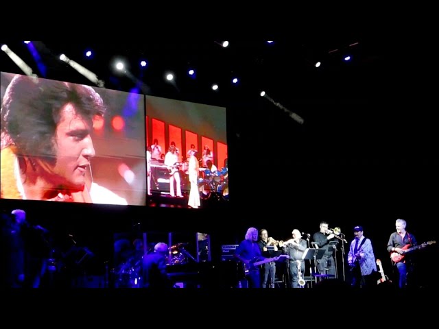 The Night Elvis Spoke the Truth: A Quiet Confession Before the World Went Silent