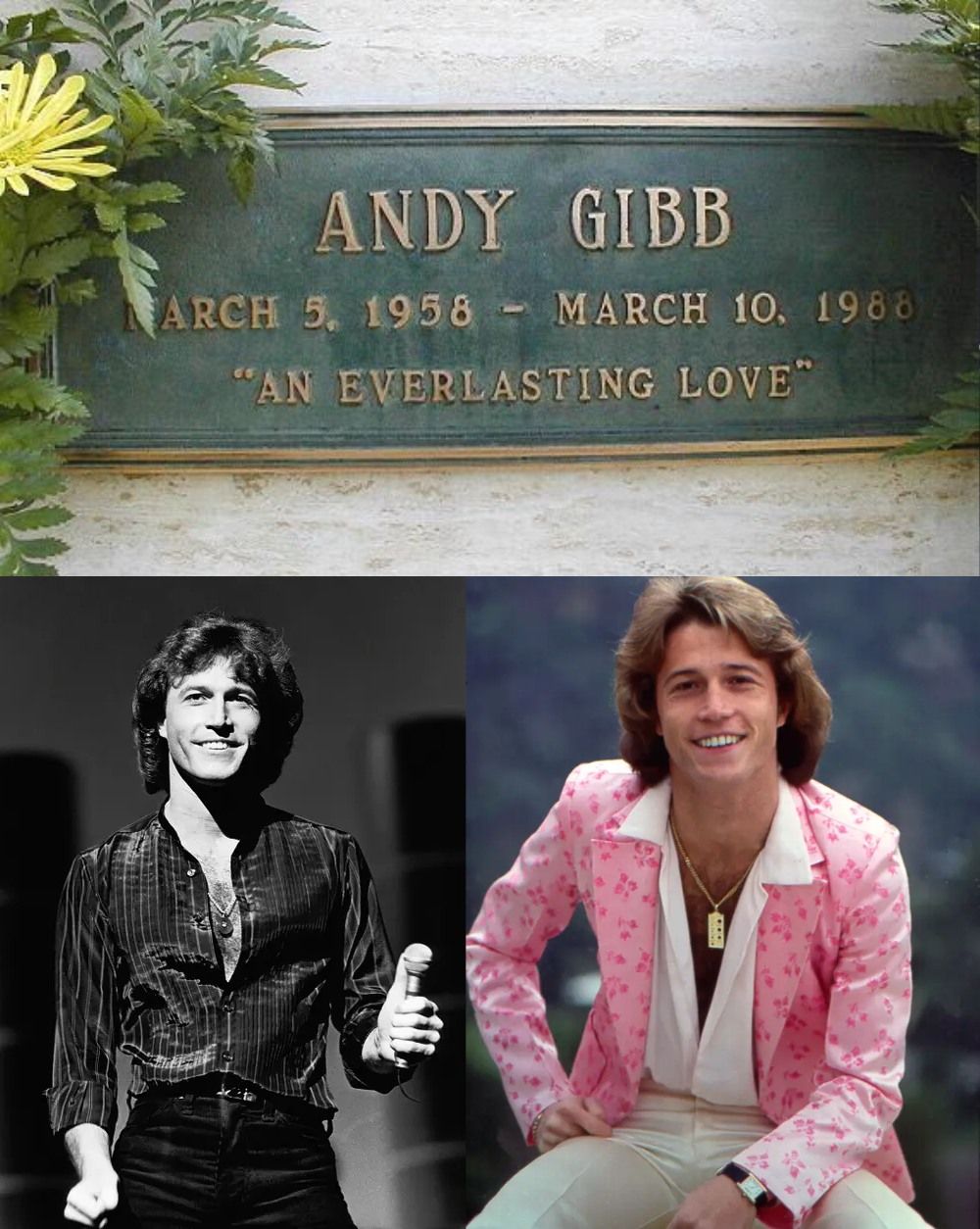 What Really Happened to Andy Gibb? The Death and Grave of The Bee Gees Younger Brother