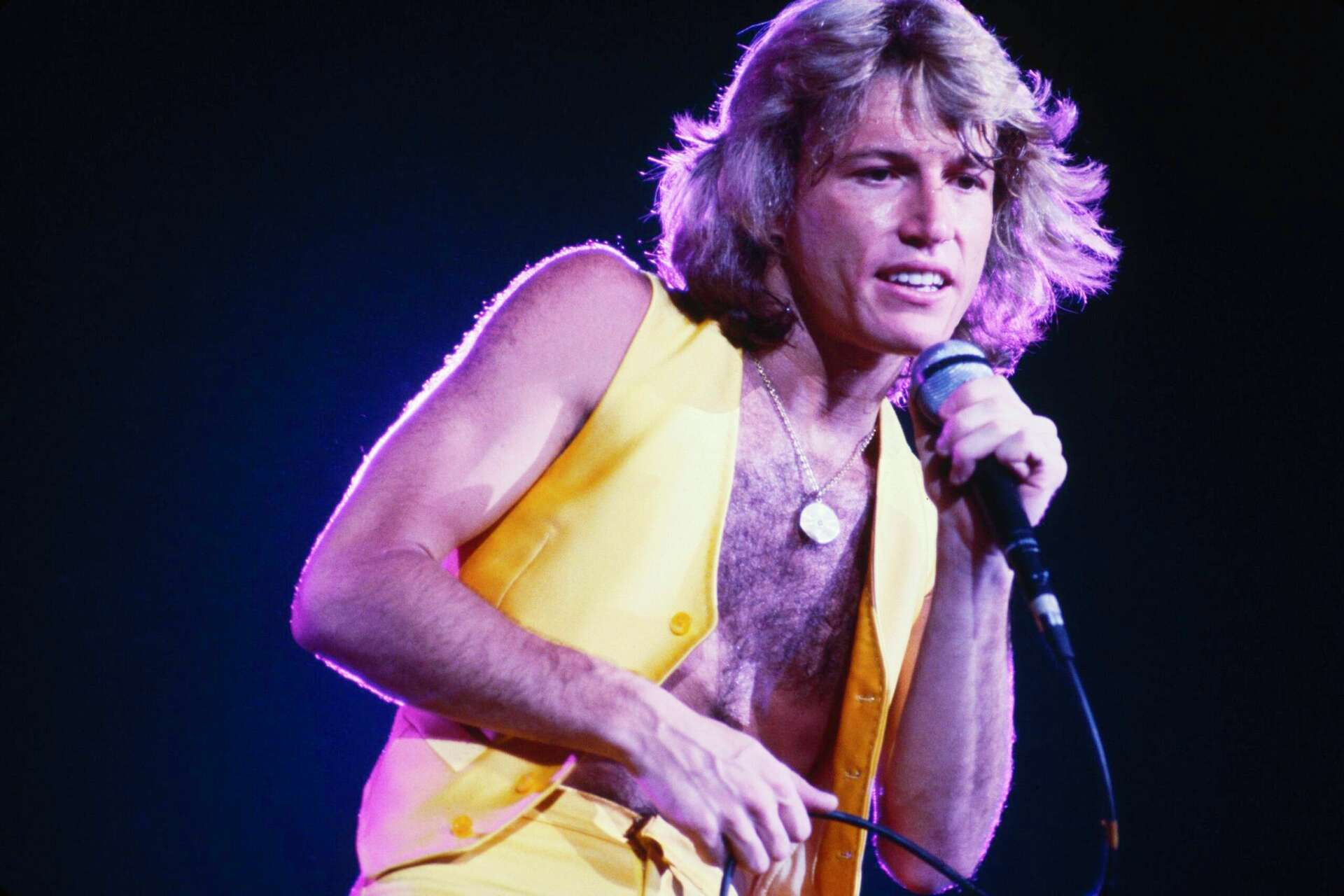 1970s pop star Andy Gibb, gone but not forgotten, is the subject of a good  new biography