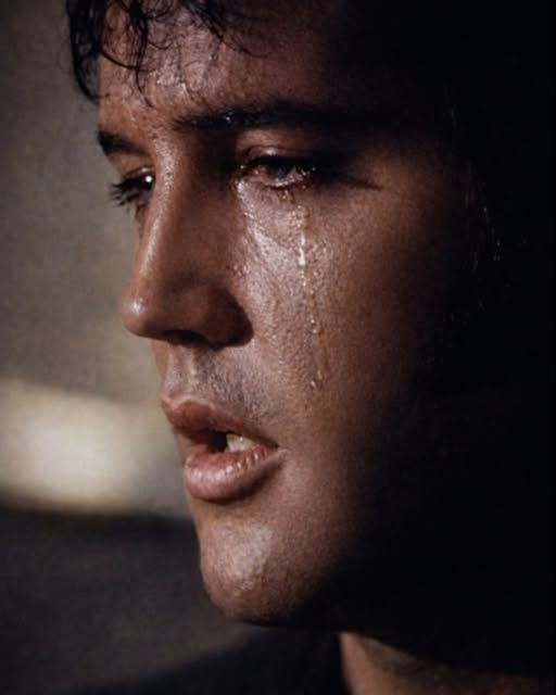 THE LIGHTS THAT BURNED AND THE STRENGTH THAT STOOD